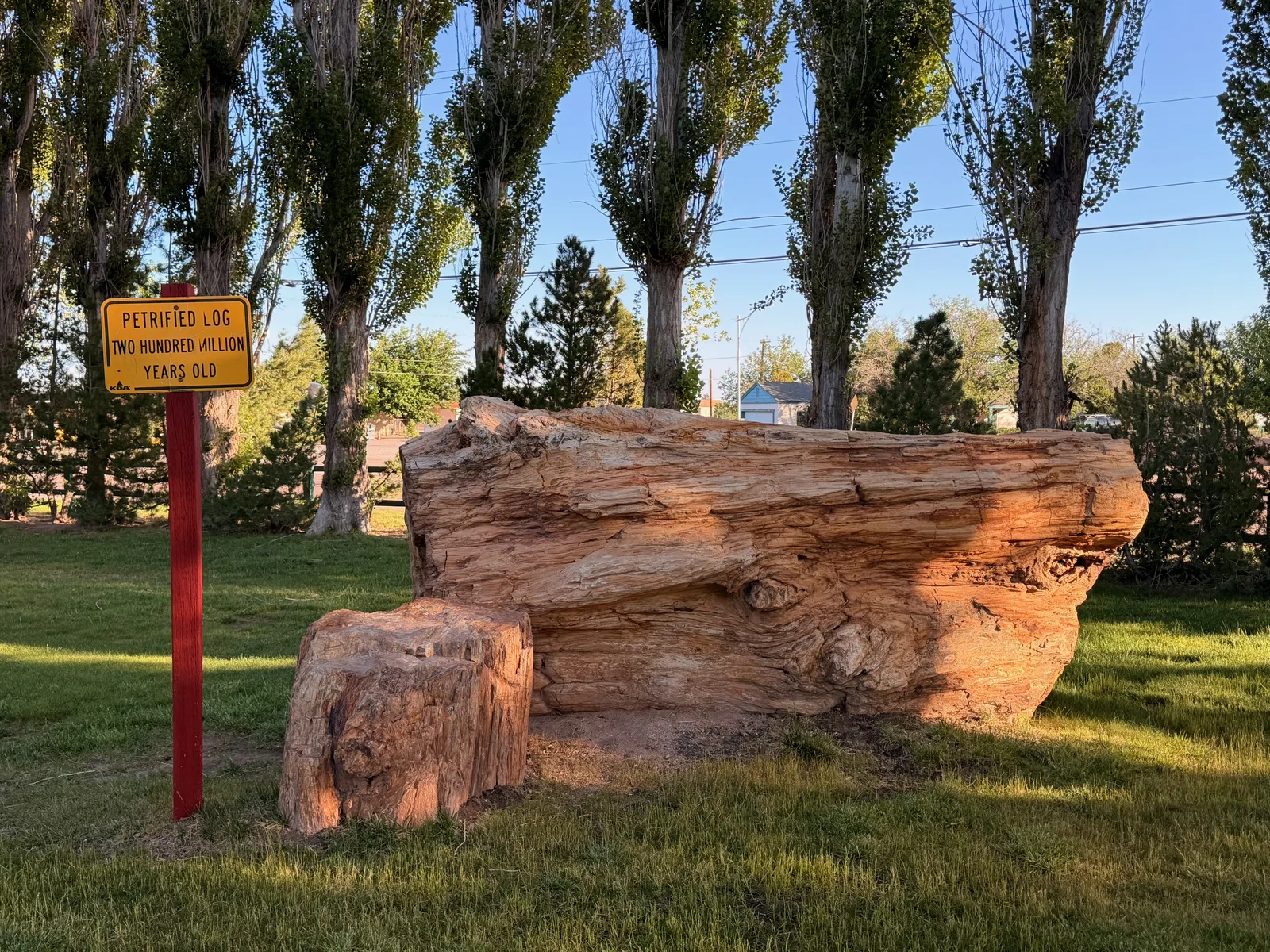 A massive petrified-wood log on a manicured lawn at the entrance to the Holbrook KOA, with a smaller upright petrified-wood stump beside it, framed by tall cypress trees and a "Welcome" sign