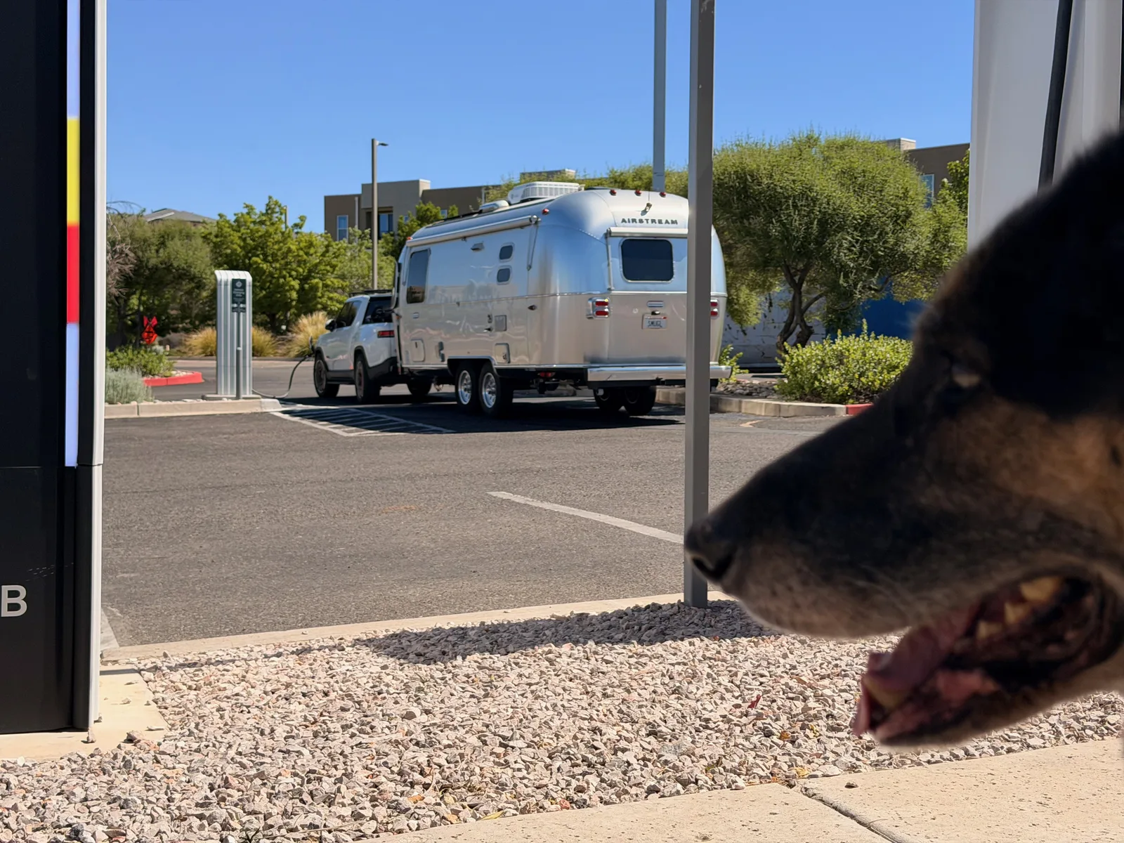 Mission, the senior black-and-tan German Shepherd, in profile in the foreground watching the white Rivian R1T and silver Airstream International parked at a Rivian Adventure Network charger in Albuquerque Uptown, the tan RAN pedestal partially visible at left