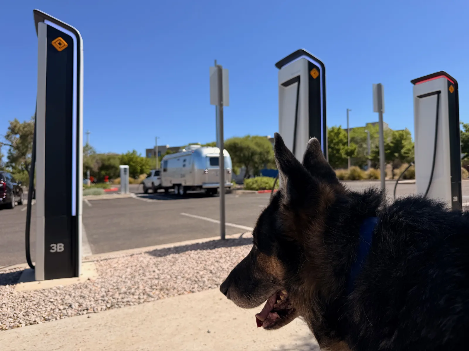 Mission in profile watching three modern Rivian Adventure Network charging pedestals with their distinctive R-logo signage and white LED accents, the rig charging at pedestal 3B in the background under a clear blue New Mexico sky