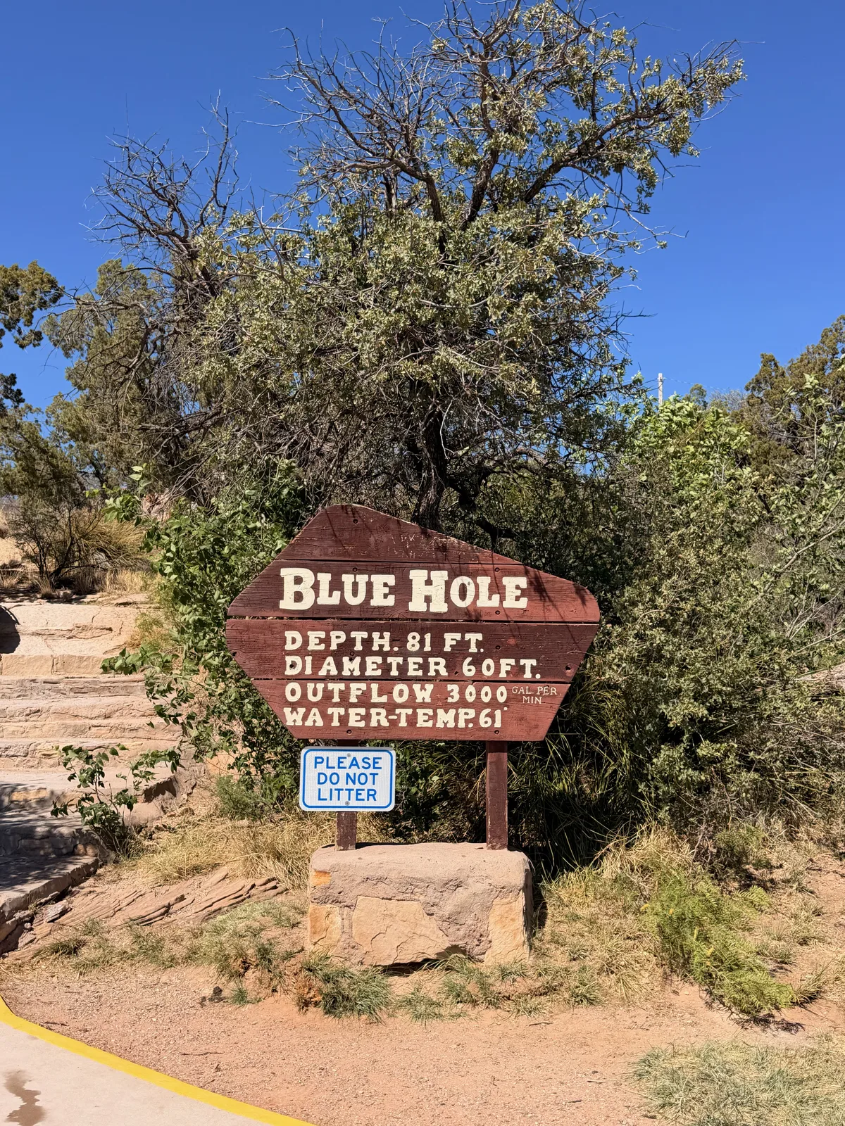 The hand-painted Blue Hole arrow sign at Santa Rosa NM listing depth 81 ft, diameter 60 ft, outflow 3,000 gallons per minute, and water temperature 61°F, framed against a desert juniper and a deep blue sky
