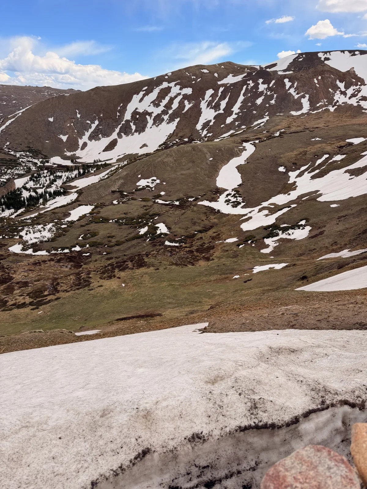 Alpine tundra above treeline in Rocky Mountain National Park, green slopes streaked with late-June snowfields under a blue sky, a melting snowbank in the foreground