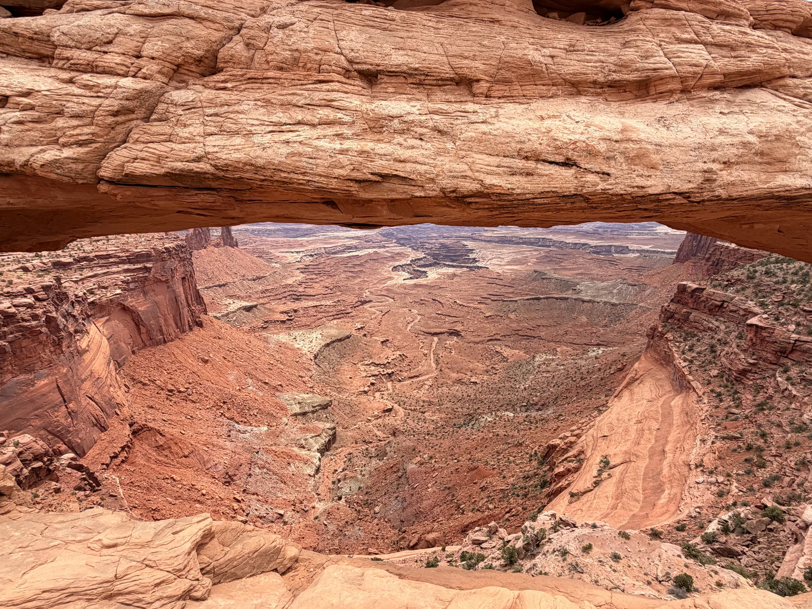 Looking through the full span of Mesa Arch from below, the Island in the Sky canyon and the White Rim dropping away beneath the sandstone arch at mid-day