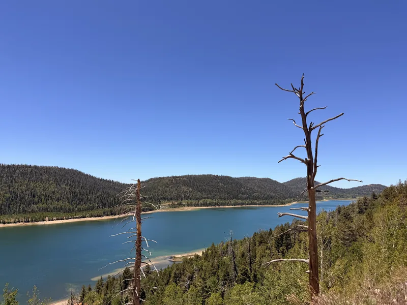 Navajo Lake ringed by forested ridges from the UT-14 overlook at 9,380 ft on the Markagunt Plateau