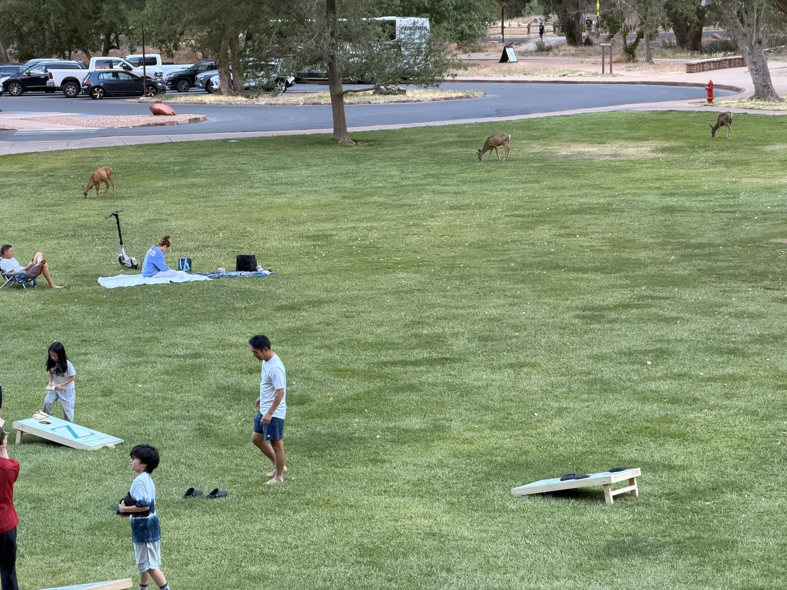 23′ Airstream International at Zion Lodge, UT, June 2026