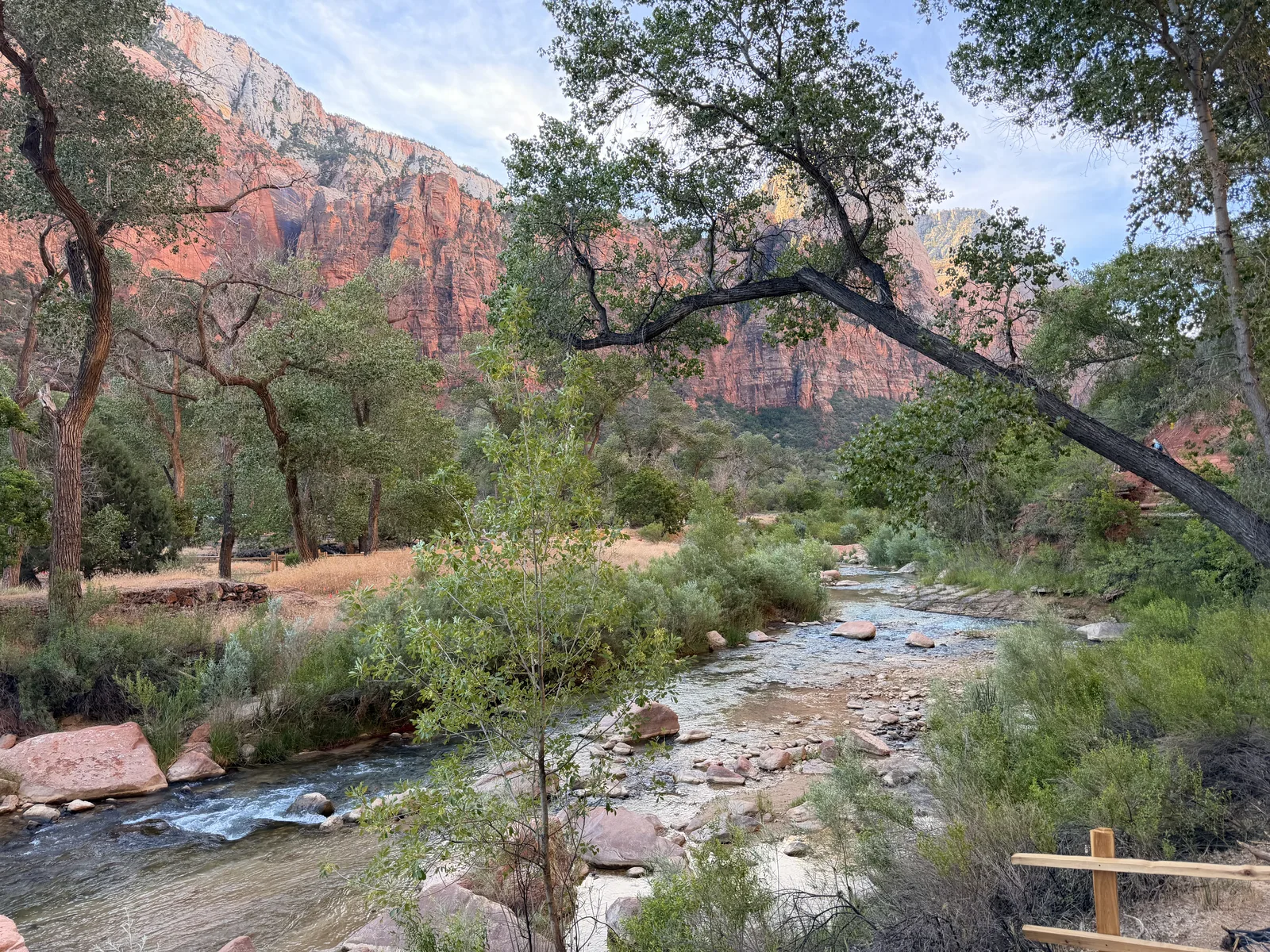 23′ Airstream International at Zion Lodge, UT, June 2026
