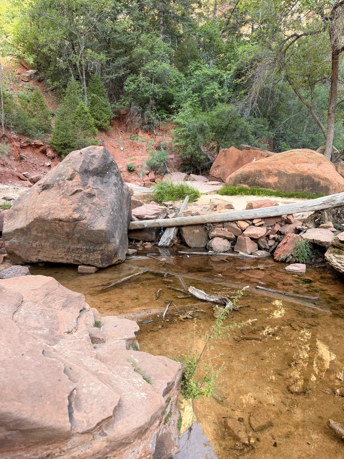 23′ Airstream International at Zion Lodge, UT, June 2026