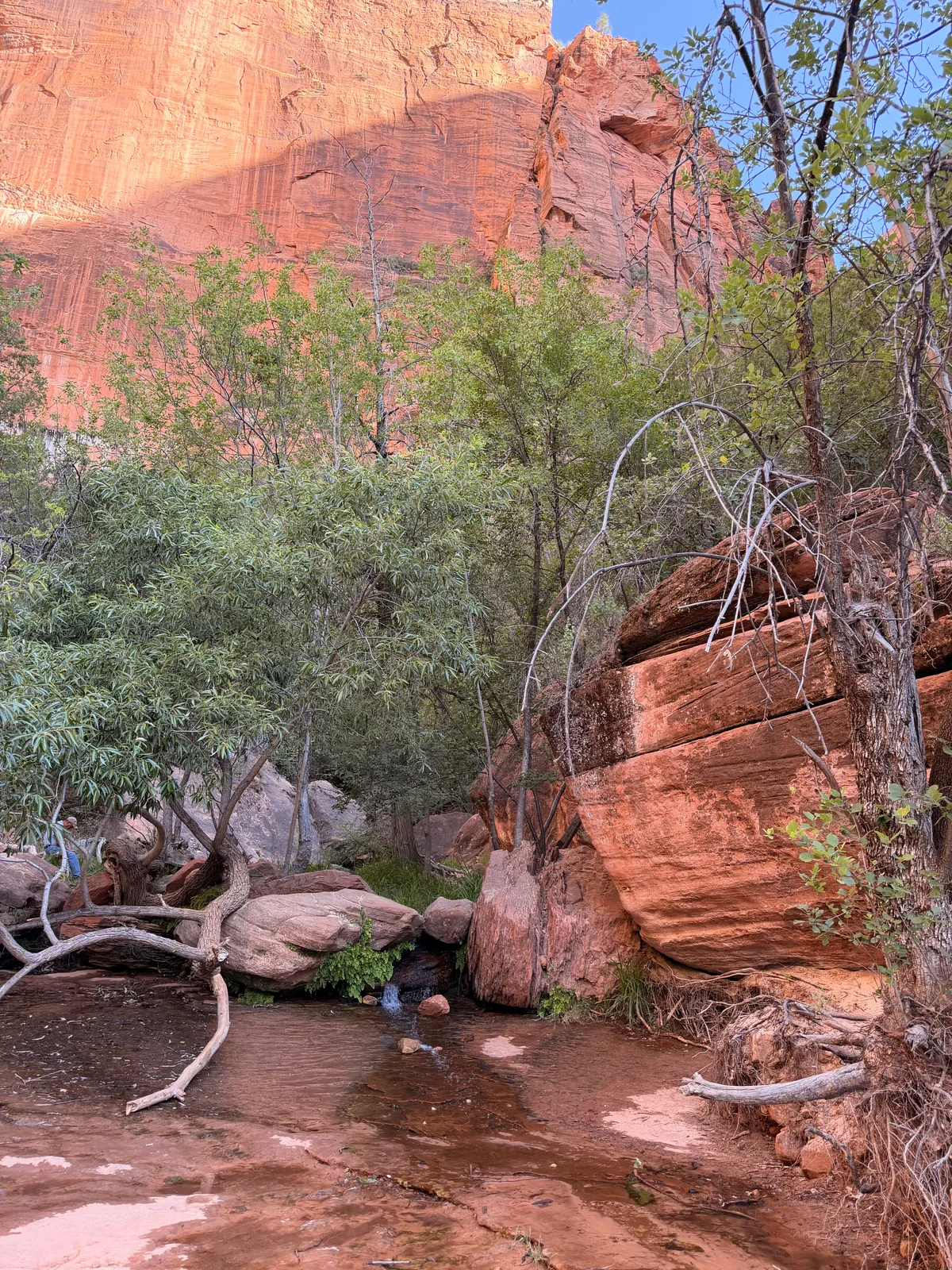 23′ Airstream International at Zion Lodge, UT, June 2026