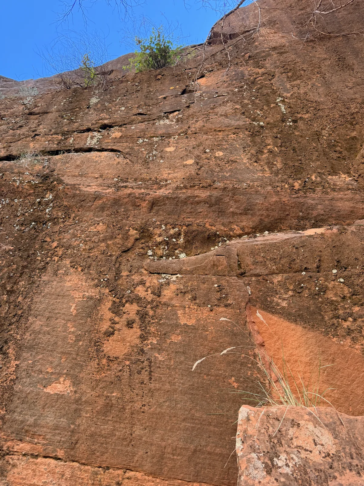 23′ Airstream International at Zion Lodge, UT, June 2026