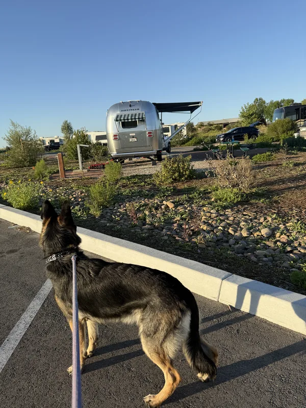 Sweetwater Summit Regional Park campground in Bonita, CA