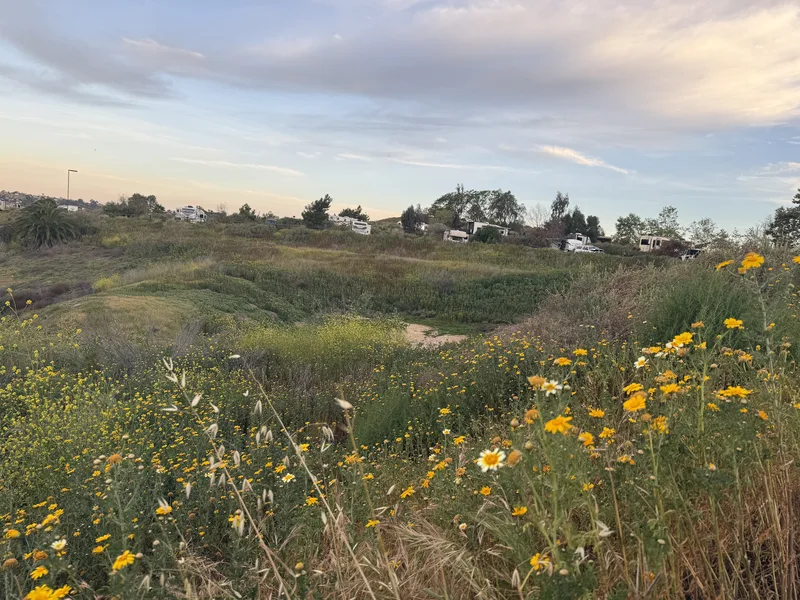 Sweetwater Summit Regional Park campground in Bonita, CA