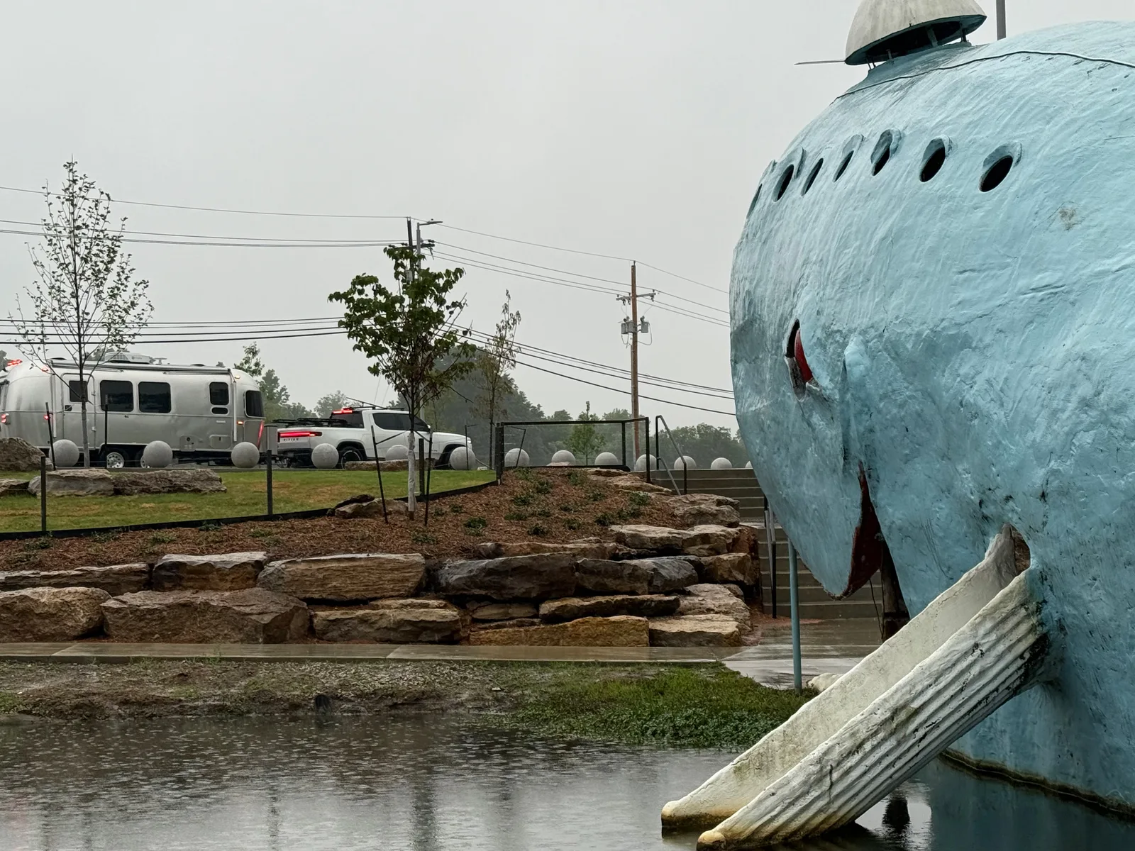 Close-up of the Blue Whale of Catoosa's smiling head and the metal slide built off its side, the painted concrete snout rising over the rock-lined pond, rain dimpling the water