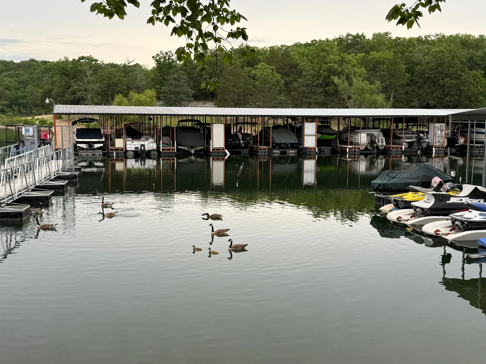 Rows of covered boat slips at a Table Rock Lake marina at dusk, ducks on the still water, wooded shoreline behind under a grey-blue sky
