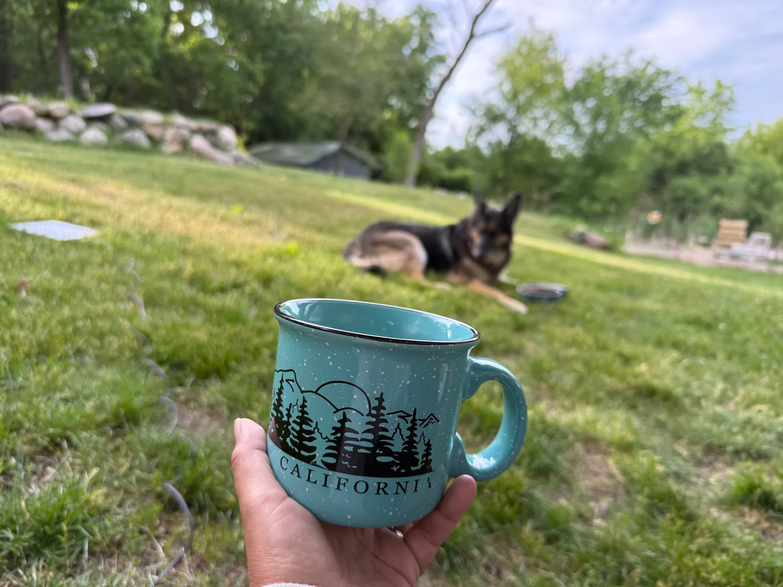 A turquoise enamel camp mug held up in a green backyard near Fox Lake, Illinois, with Mission the German shepherd lying in the grass in the background