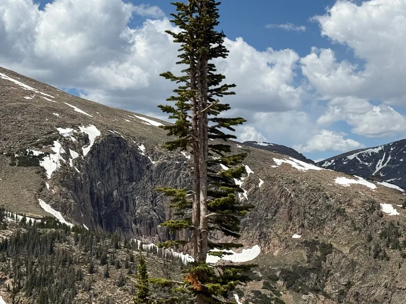 23′ Airstream International at Larimer County, CO, June 2026