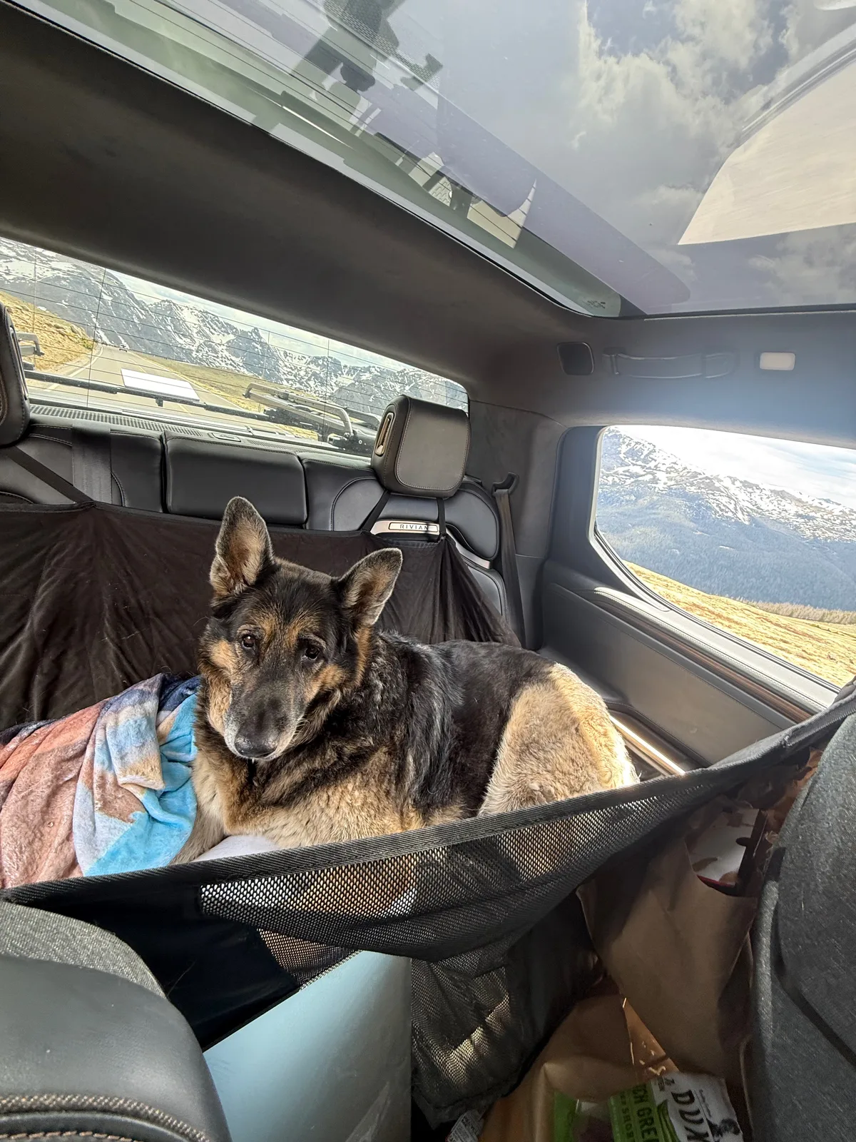 Mission the German shepherd resting in his back-seat hammock inside the Rivian R1T, snow-capped peaks of Rocky Mountain National Park visible through the windows