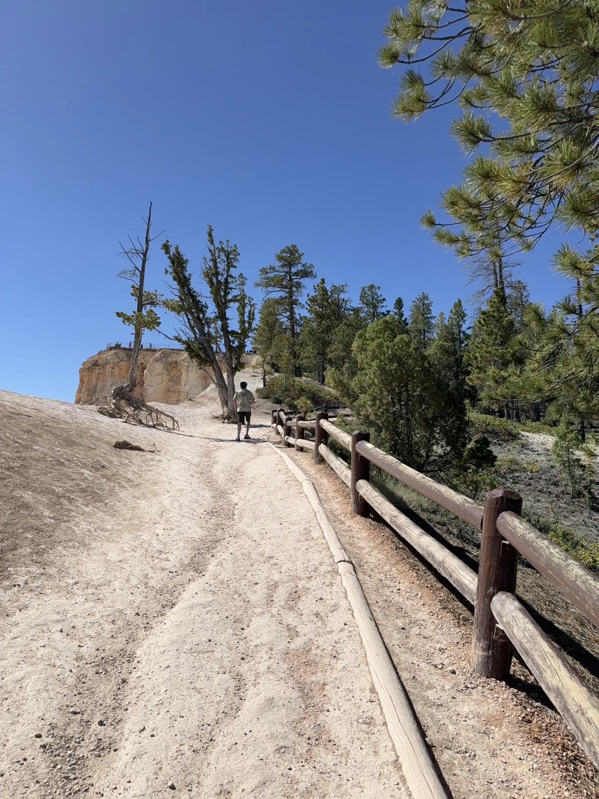 23′ Airstream International at Garfield County, UT, June 2026
