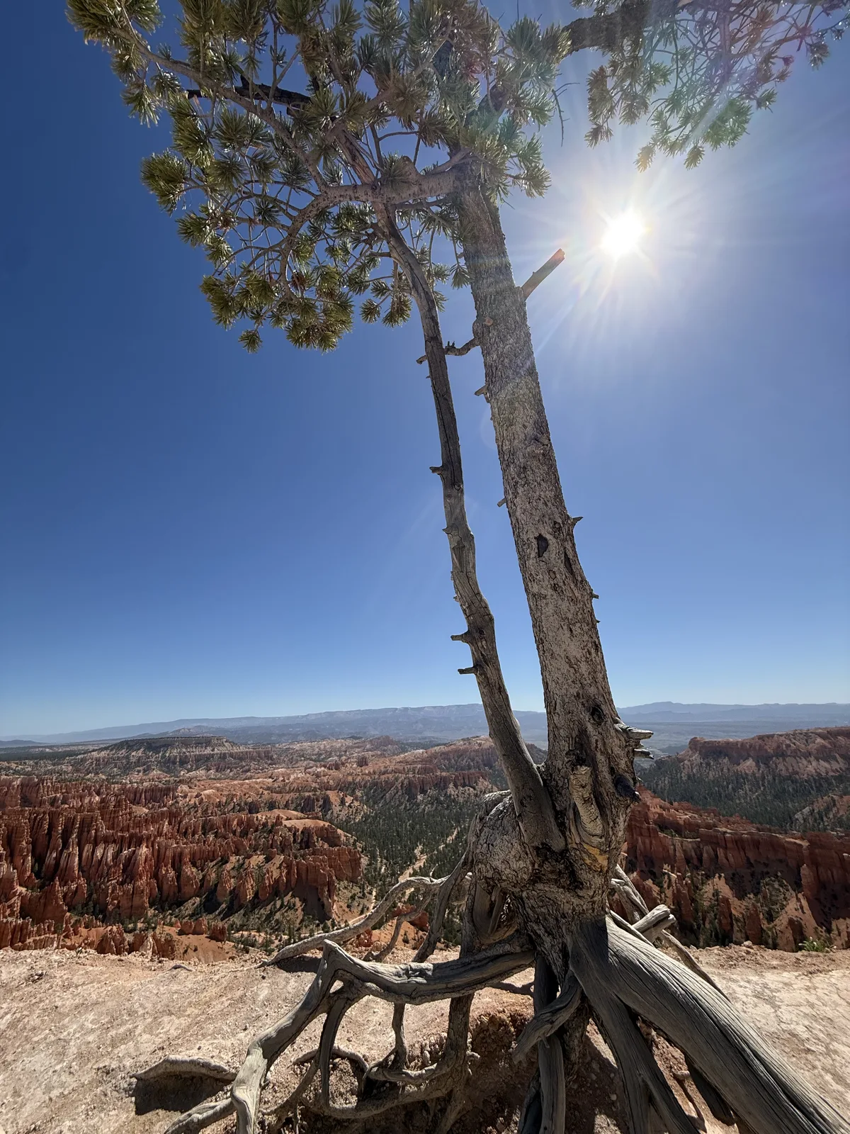 23′ Airstream International at Garfield County, UT, June 2026