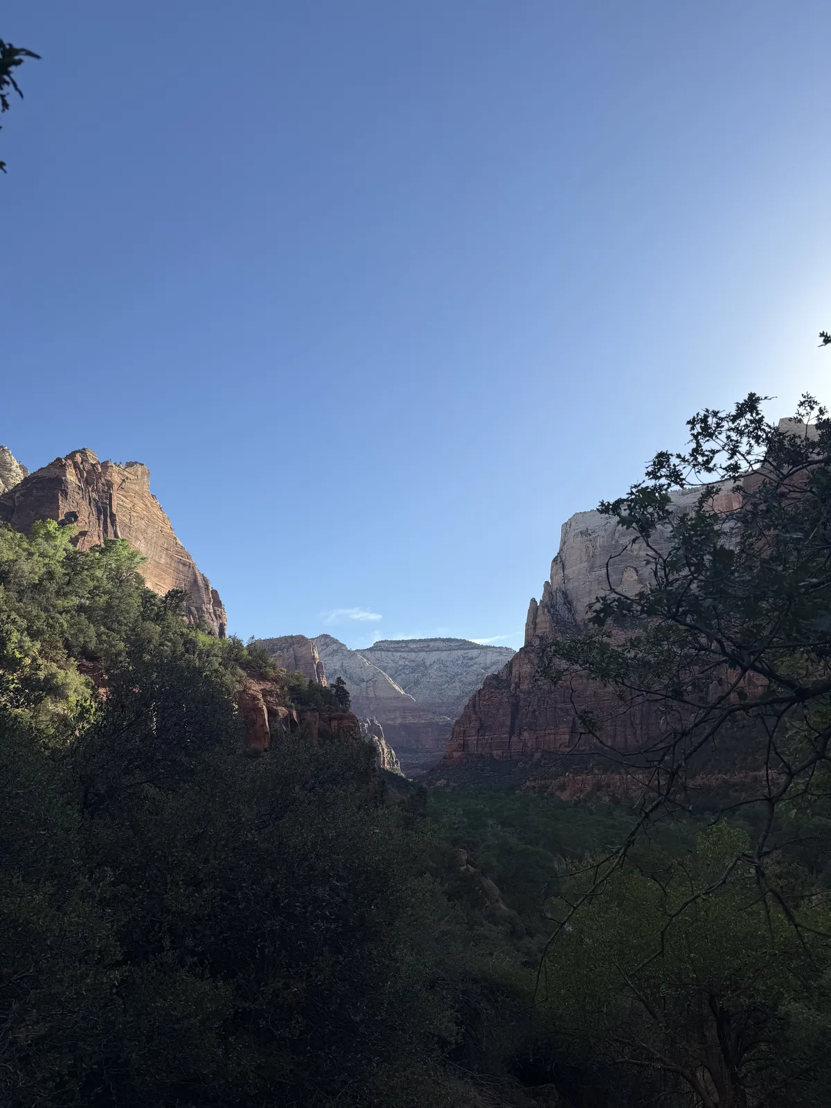 23′ Airstream International at Zion Lodge, UT, June 2026