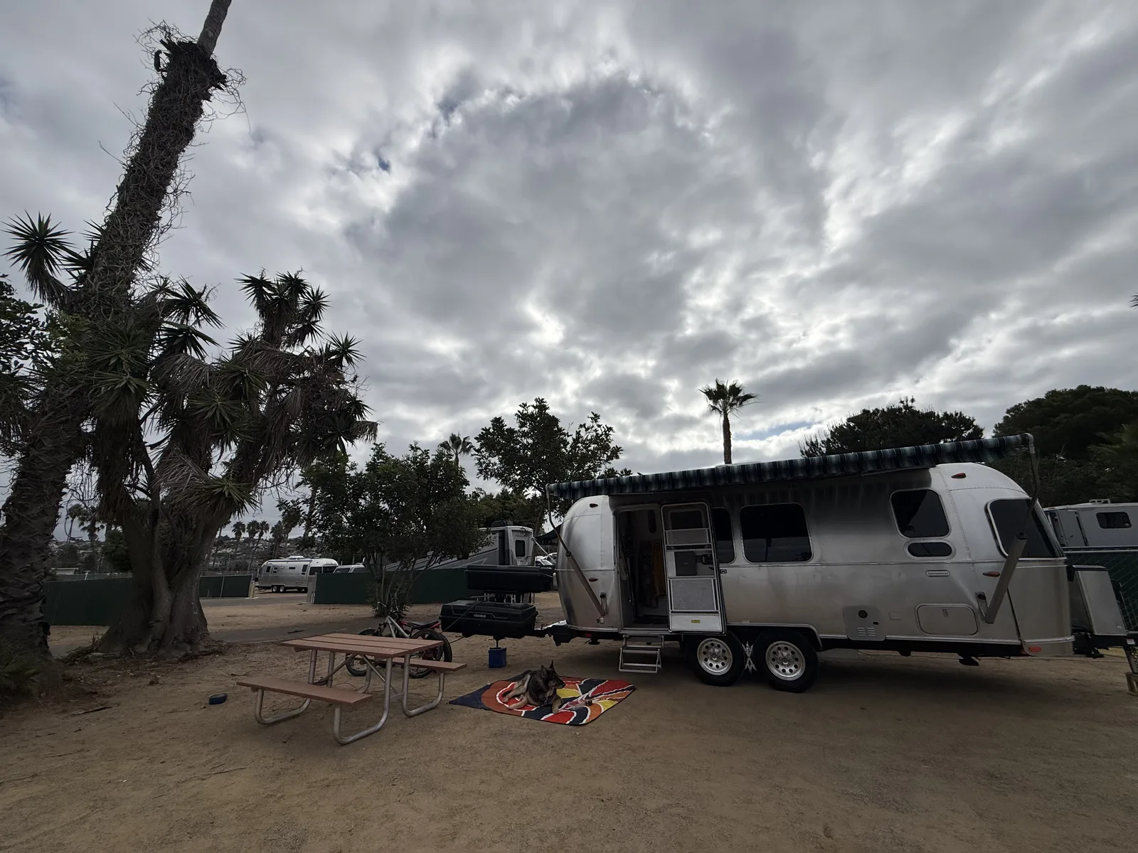 The 23-foot Airstream International parked on a wide open site at Mission Bay RV Resort in San Diego, picnic table and the dog on a rug out front, palms and a heavy grey cloud bank overhead