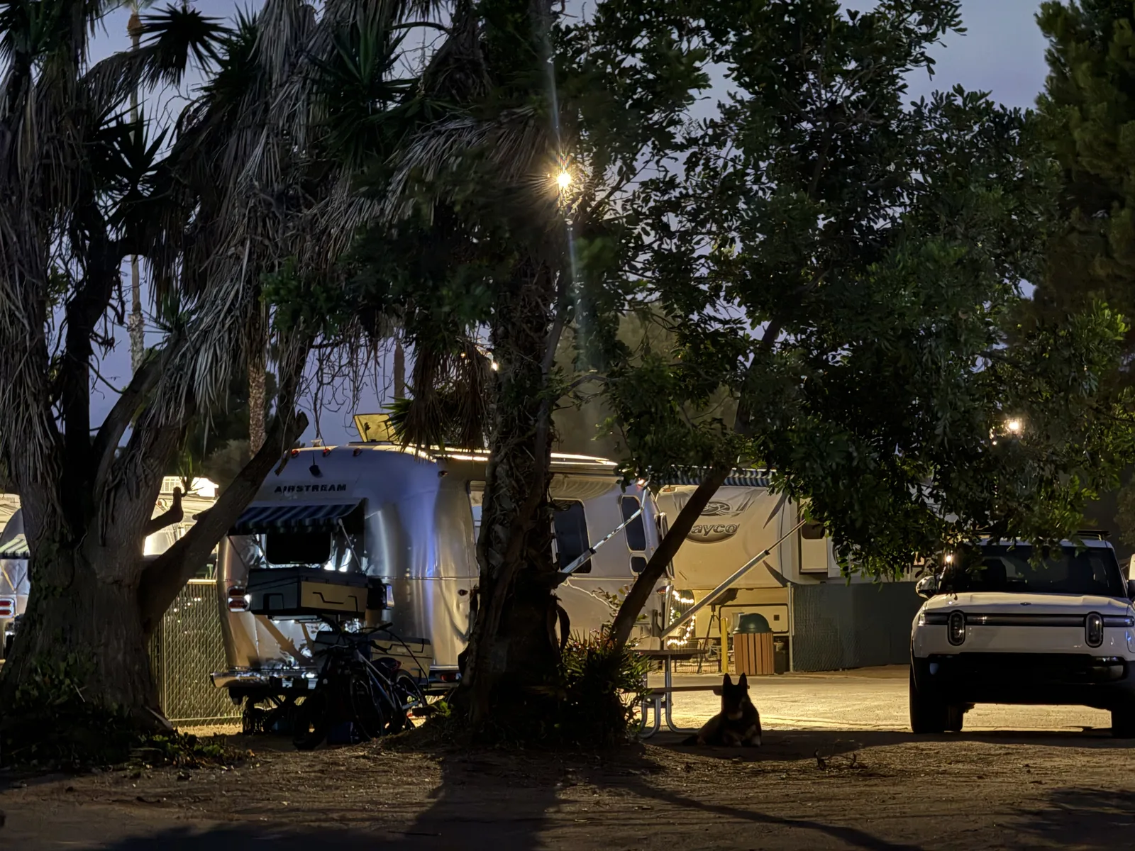 Dusk at Mission Bay RV Resort, the Airstream and a row of rigs lit under the palms with motorcycles and the Rivian parked alongside