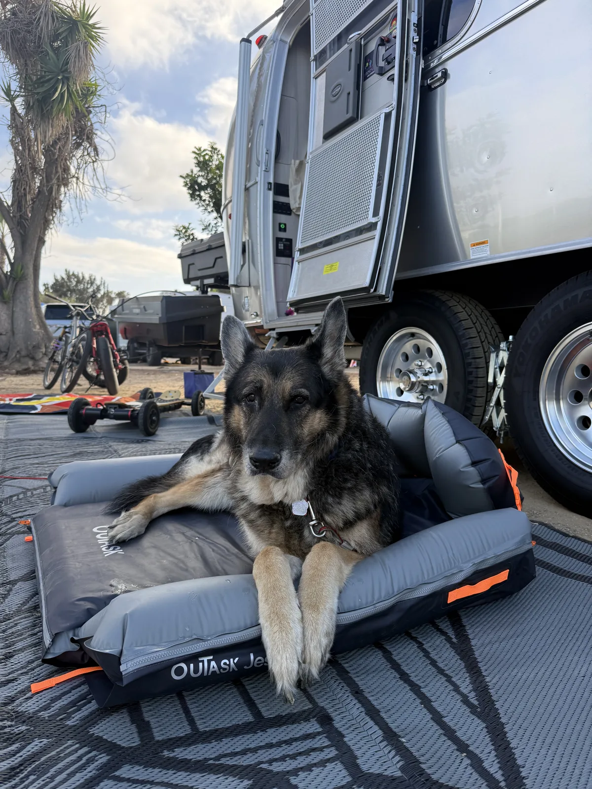 A German shepherd resting on a camp lounger beside the Airstream at Mission Bay RV Resort, bikes and a scooter parked behind