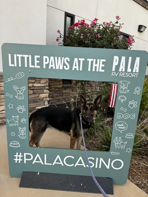 Pala Casino RV Resort campground in Pala, CA