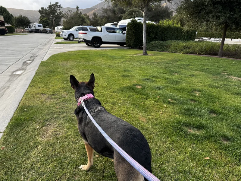 Pala Casino RV Resort campground in Pala, CA